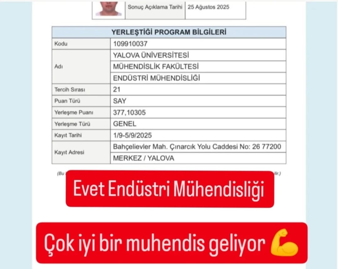 online eğitim koçluğu